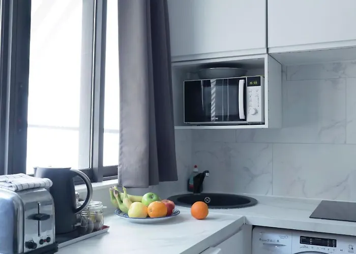 Arc De Triomphe-champs Elysees アパート パリ